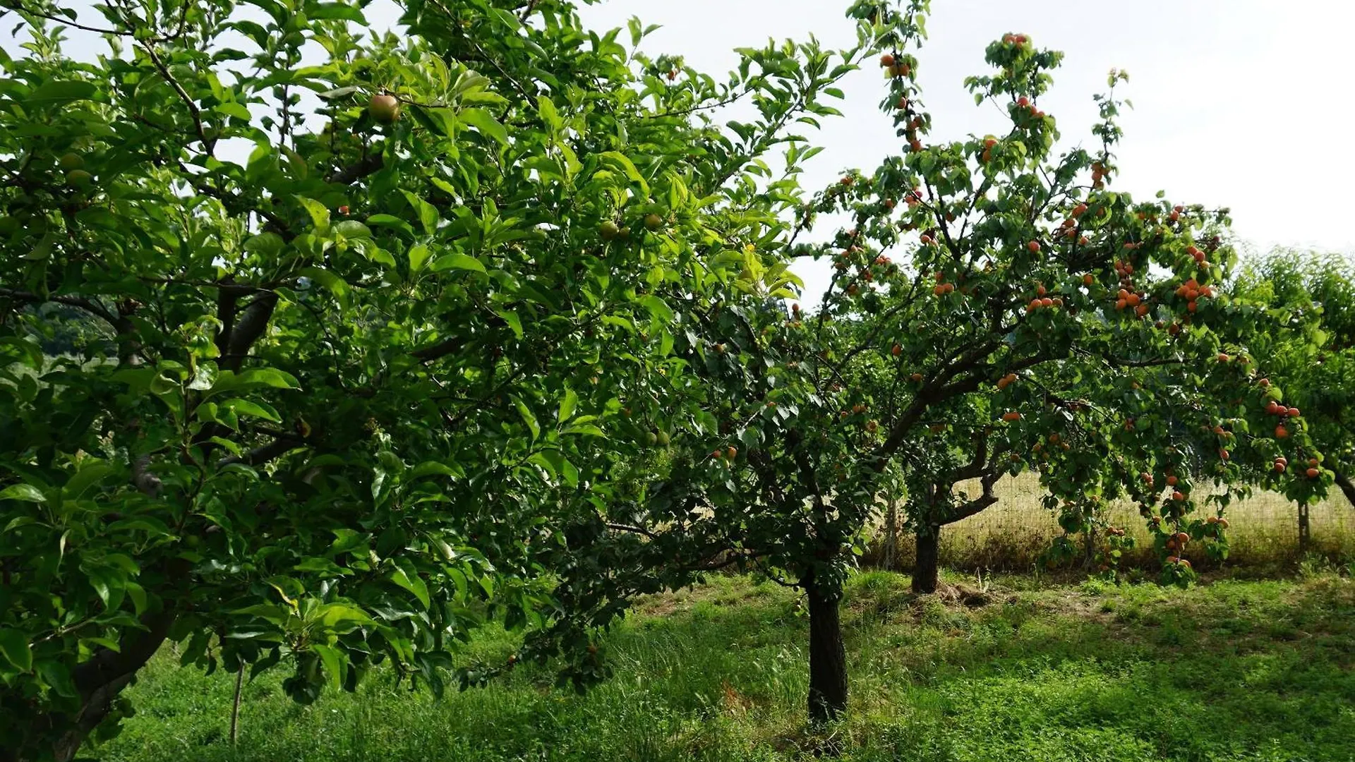 Holiday home La Casa Dei Tarocchi Villa Pistoia