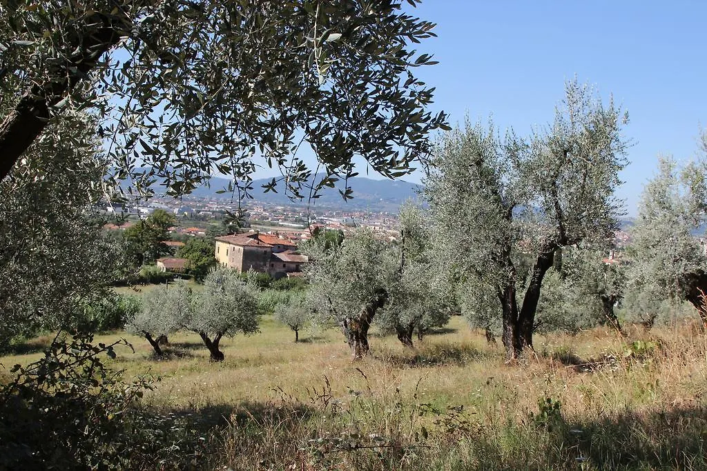 La Casa Dei Tarocchi Villa Pistoia Holiday home