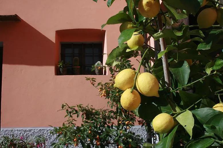 La Casa Dei Tarocchi Villa Pistoia