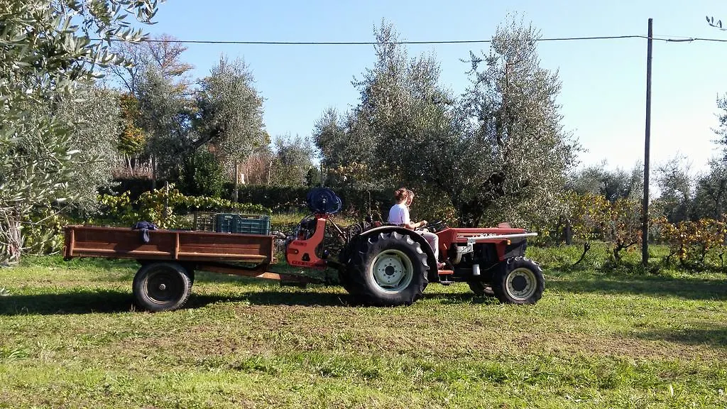 La Casa Dei Tarocchi Villa Pistoia